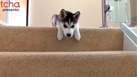 7大方法教你做出让人眼前一亮的设计：ky.com(图4)