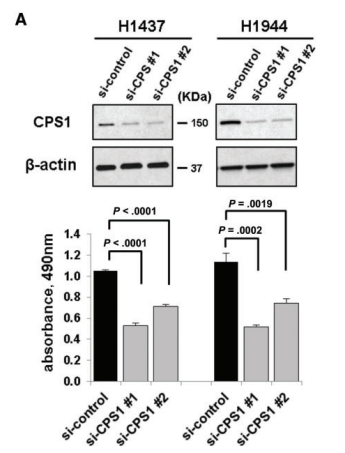 ‘ky com’
让你最快相识油墨行业基础知识之一(图10)