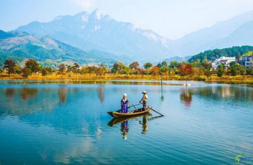 泰国森林保护志愿者披露警匪勾结走私黑幕‘ky.com’(图3)