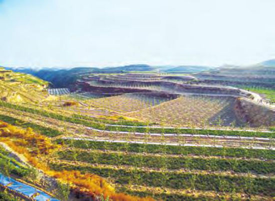 4种差别装修气势派头，总有一款适合您的眼镜店“kycom”(图1)