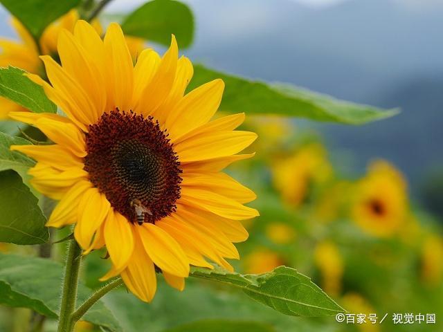 ‘ky com’清华召开绿色小城镇学组成立会(图1)