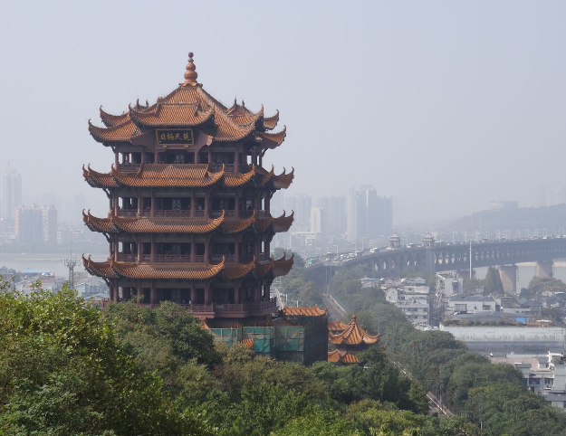 国内原木成品提不起来价格 国外却涨势逼人|ky.com(图2)