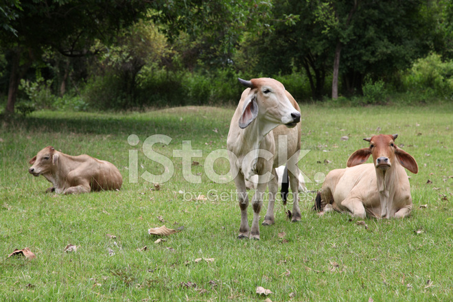 “缩水价”不“缩水”  “家具底价”难自圆其说：ky.com(图3)