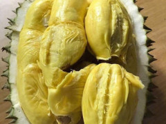 ky com_北京规划打造20块花田景观(图2)