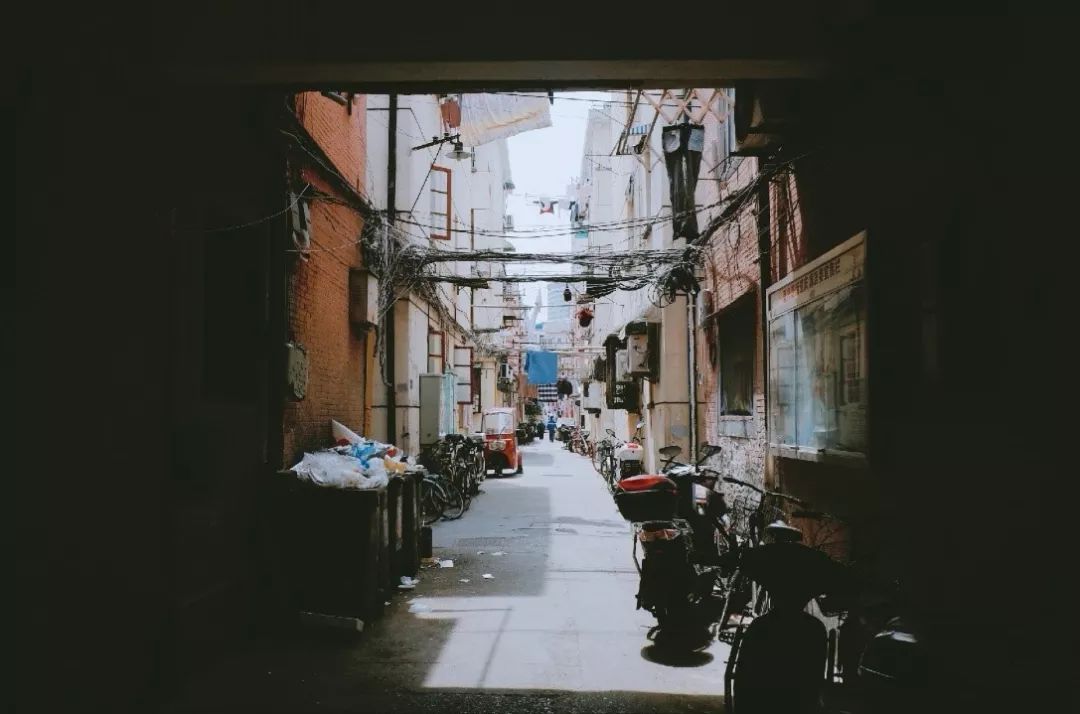 植物专类园丰富植物园景观|ky com(图2)