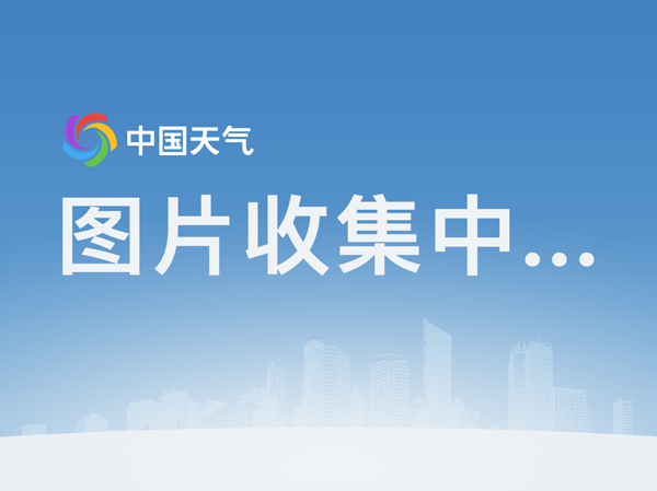 ky com：纽约TDC中国巡回展11月15日亮相杭州(图1)