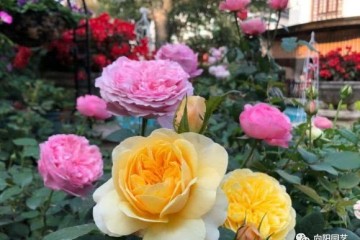 多伦多设计博物馆展览【ky.com】(图1)